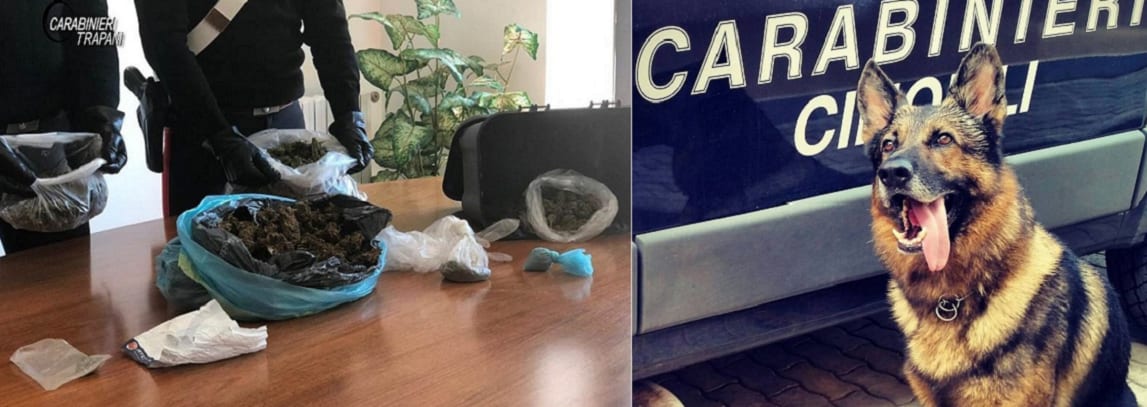 Alcamo, quasi 1 KG di marijuana in casa. Il fiuto di "Derby" fa arrestare quarantacinquenne