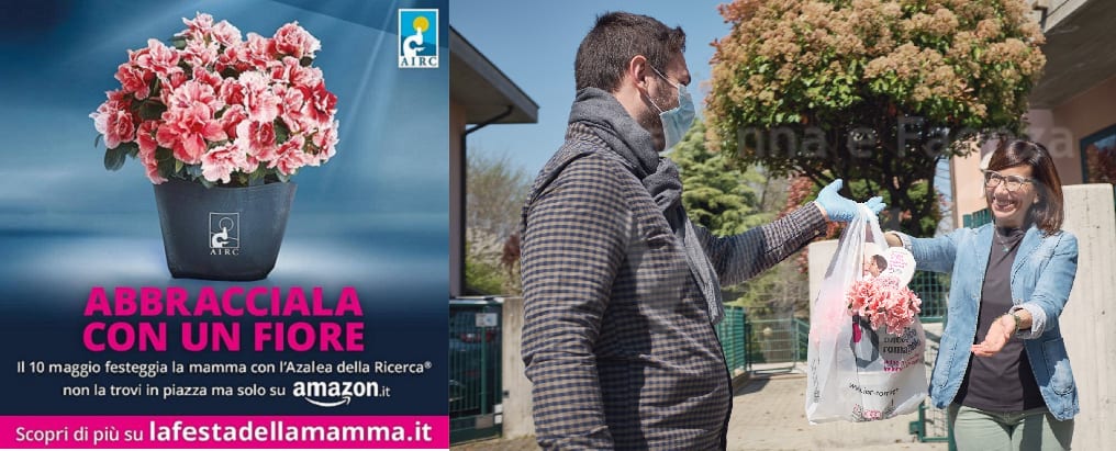 Festa della Mamma, l'AIRC non si ferma. Le azalee della ricerca in vendita solo su Amazon