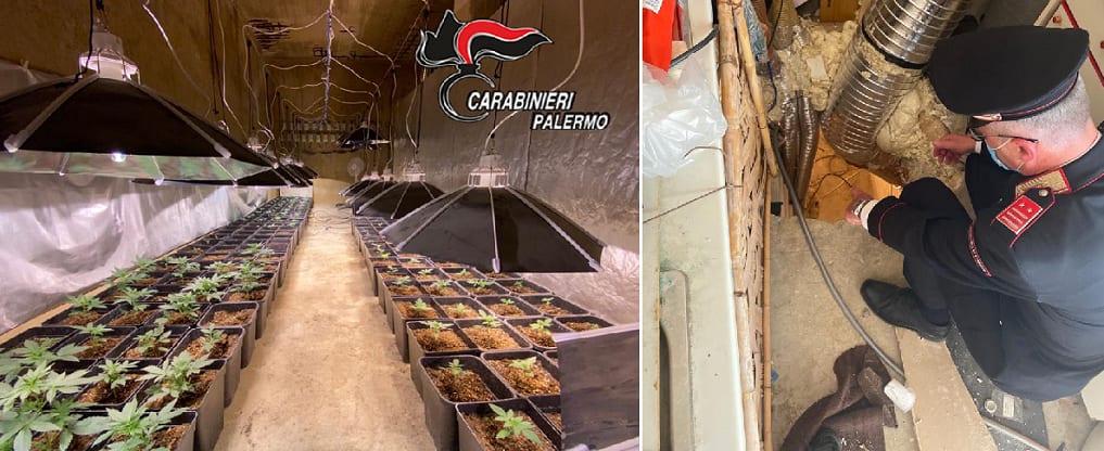 Sofisticata serra 'indoor' raggiungibile da cunicolo. Partinico è la "Medellin d'Europa"