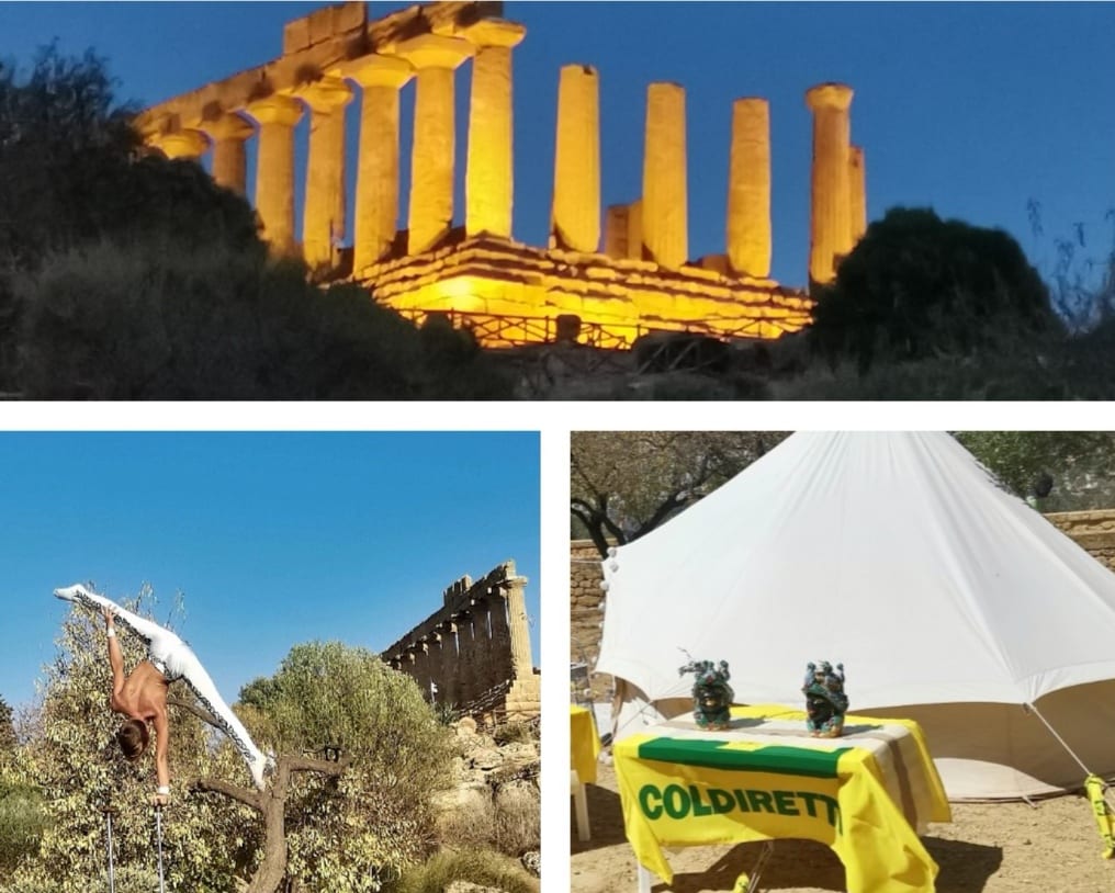 Coldiiretti, "Oscar Green" e circo sotto al tempio. Giovani in mostra ed emozioni