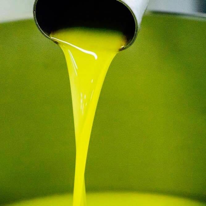 Alcamo, olio "nuovo" eccellente ma un pò più costoso