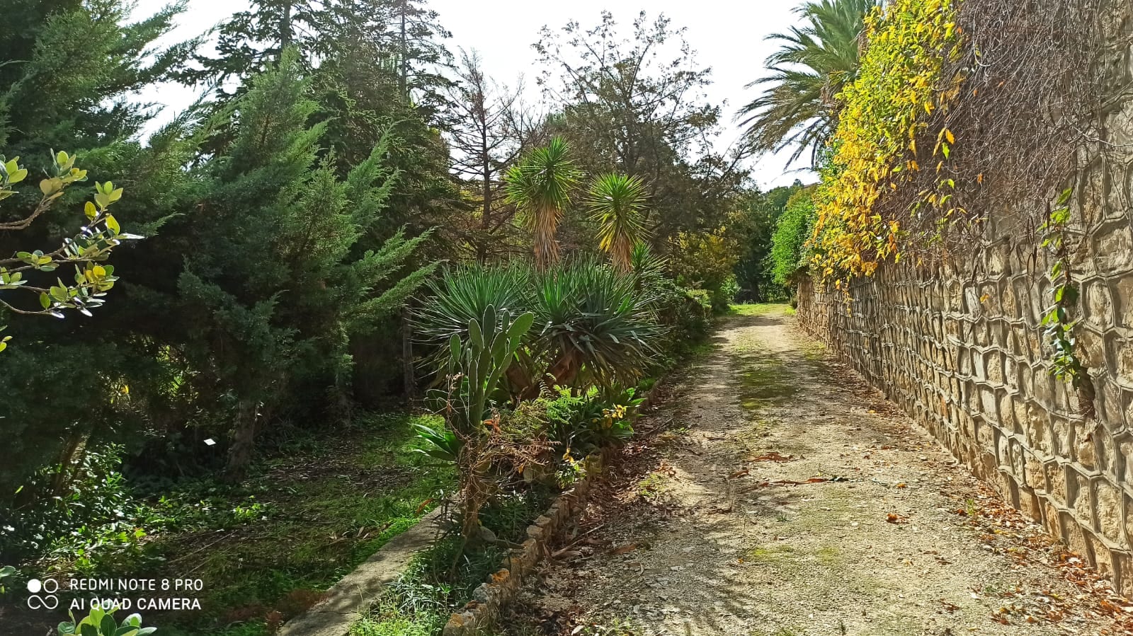 Il SIFUS ha un nuovo responsabile ad Alcamo. Senia: "Arboreto di Maruggi e monte Bonifato"