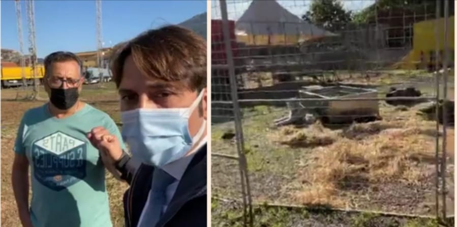 Pace e reciproco rispetto fra circo e animalisti. Buon esempio da Palermo