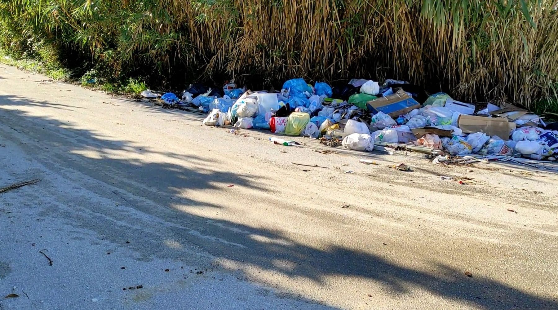 Rifiuti in strada in città, Alcamo Marina 'pattumiera'. Surdi: "Comuni senza alcuna responsabilità"