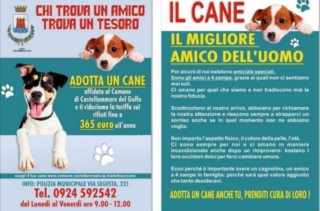 'Chi trova un amico trova un tesoro', a Castellammare adozioni cani