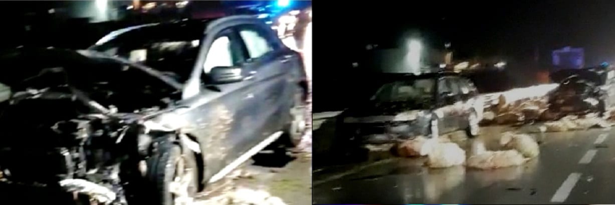 Gregge sulla statale al buio, violento impatto con autovetture. 34 ovini morti, un giovane ferito