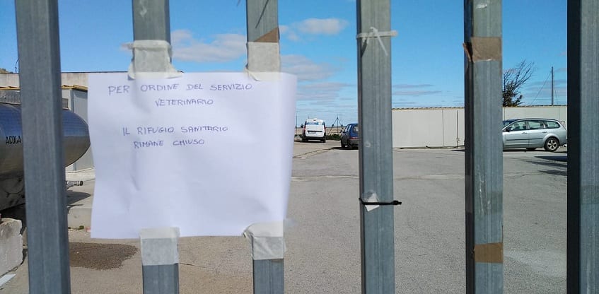 ASP chiude Rifugio Sanitario ad Alcamo. Carcassa non smaltita da due settimane (VIDEO)