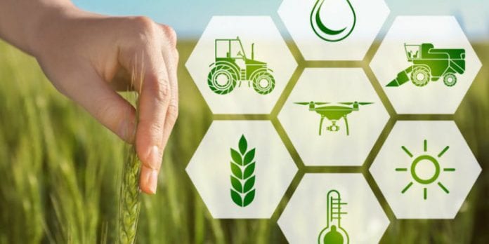 Crisi dell’agro-alimentare, CNA incontra i comuni del trapanese