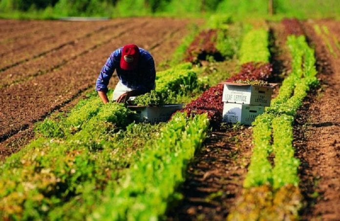 Invettiva dei sacerdoti contro chi sfrutta i lavoratori. Chiesti più controlli