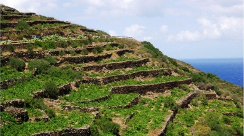 Tutela biodiversità terrestre, marina e valorizzazione del paesaggio rurale. Finanziati sei progetti nel trapanese