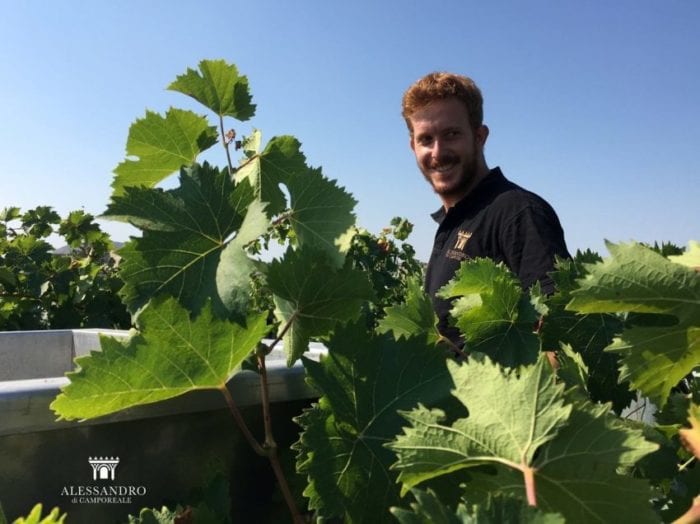 Enologo camporealese entra nel CDA di FederDoc. Trentenne, ha già prodotto vini premiati