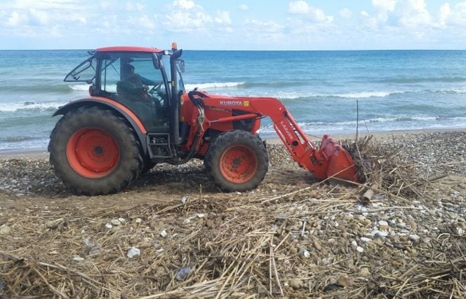 Pulizia spiaggia ad Alcamo Marina, resta emergenza rifiuti. Fundarò: "E' reato bruciare canne"
