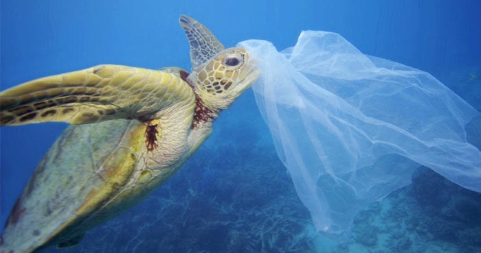 Degrado ambientale. Parte progetto per recupero di rifiuti in mare