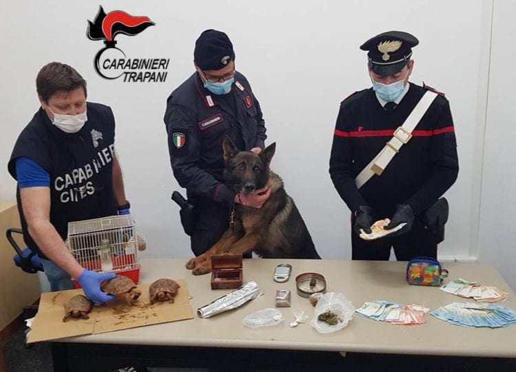 Droga, market ‘familiare’. Arresti e denunce per padre, madre e figlio