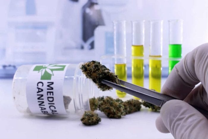 Sì alla cannabis per contrastare il dolore. Firmata convenzione tra Asp TP e farmacie del territorio