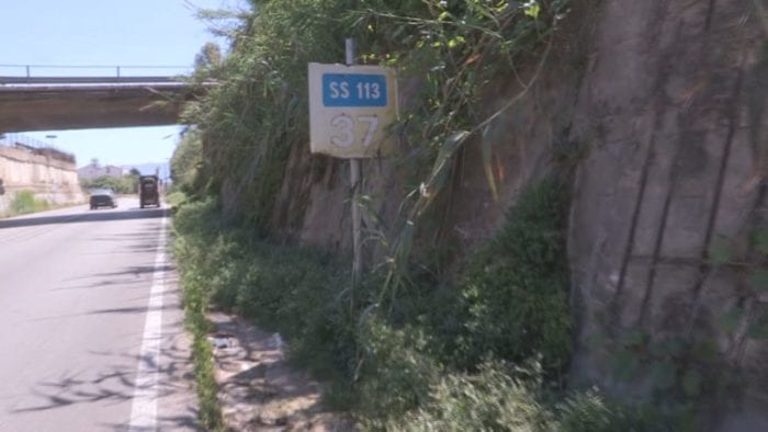 Ingresso principale alla città di Alcamo. Erbacce, canneti e degrado assoluto (VIDEO)