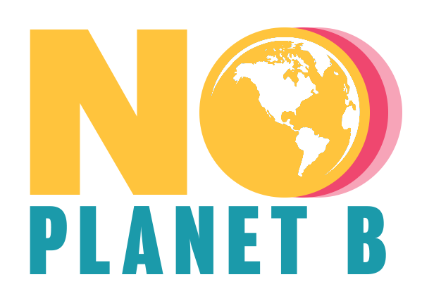 Progetto Erasmus "No Planet B" dell' Istituto Bagolino. Ripulita spiaggia Canalotto