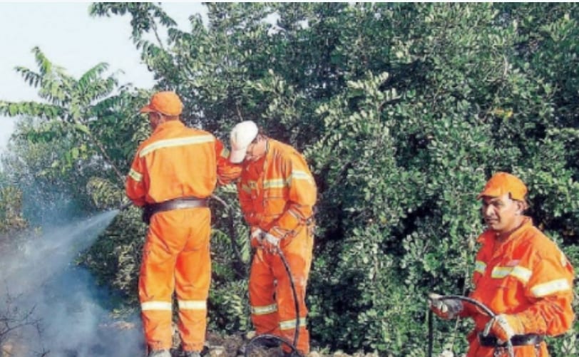 Forestali, iter a rilento per proposta di legge. SIFUS-Confali non ci sta