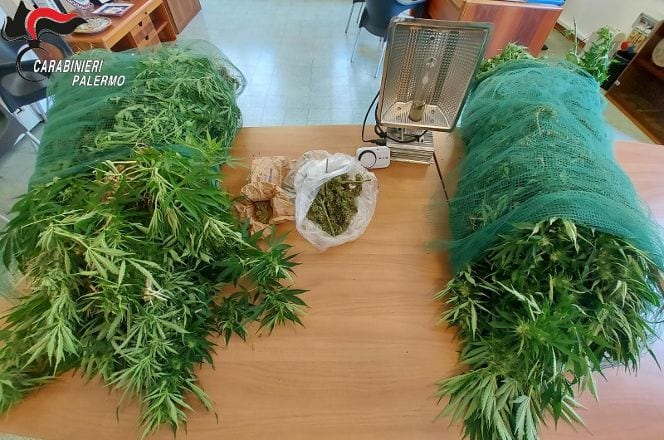 Coltivava droga in casa, arrestato 30enne a Partinico