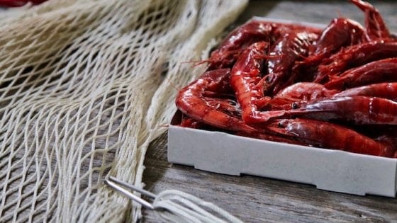 Gambero Rosso, dal Ministero arriva lo stop alla pesca