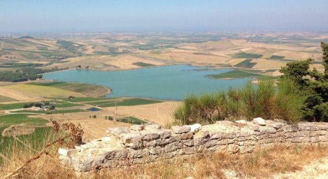 Alga rossa nella Diga Rubino, campi e animali a secco. Tavolo tecnico per affrontare il problema