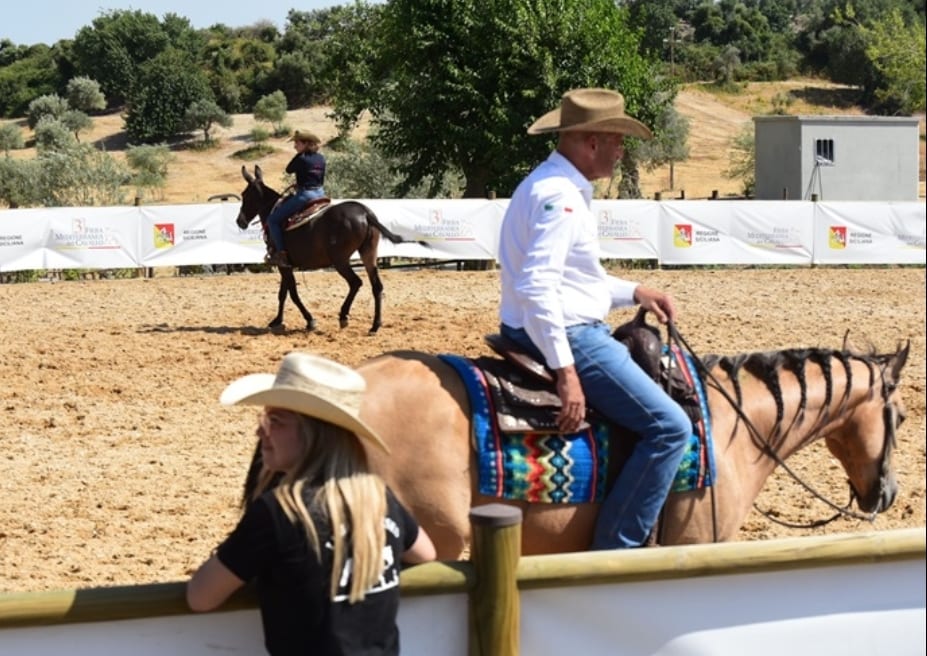 Fiera del Cavallo di Ambelia, alcamese firma le discipline americane