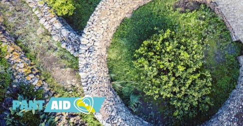 Pantelleria, eventi dal 15 al 16 luglio nell'ambito del progetto PANT-AID