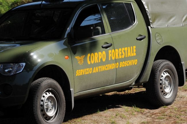 Sette progetti per i forestali. Categoria verso completamento giornate?