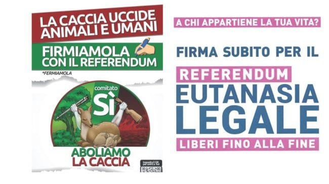 Dall'eutanasia legale all'abolizione della caccia. Diverse proposte di referendum, firme a Castellammare del Golfo