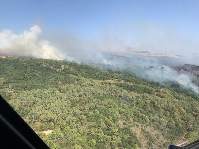 Distrutti 60 ettari del cuore del bosco Scorace. Decisivi i lanci dall’elicottero