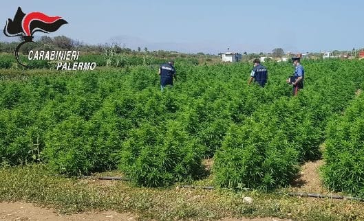 Controlli alle aziende a Partinico. Scovati cinque lavoratori in nero