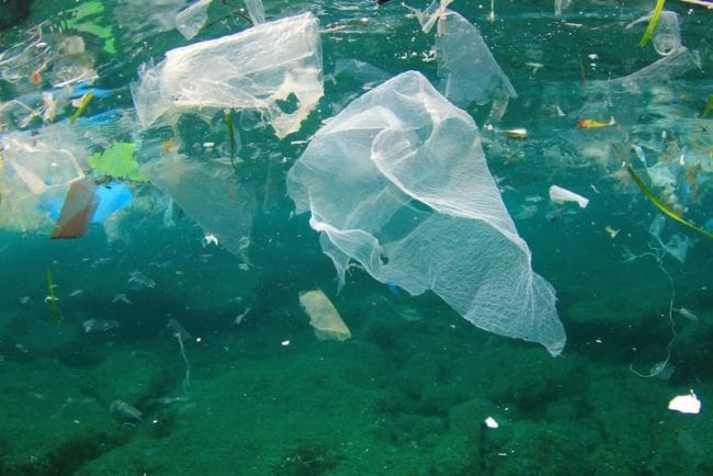 Iniziativa di MareVivo a Balestrate. Raccolta della plastica in contrada Forgia