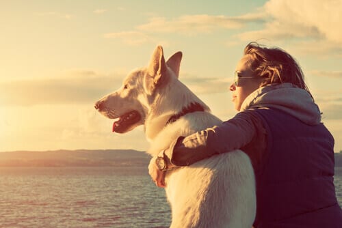 Si celebra oggi la giornata internazionale del cane