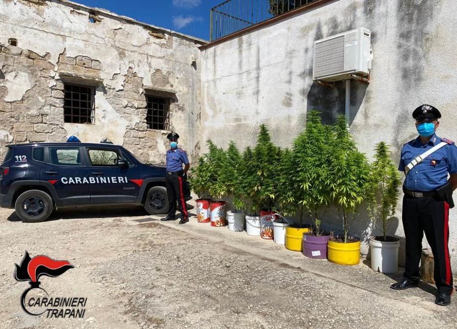 Coltivava piante di marijuana. Arrestato dai carabinieri un uomo a Trapani