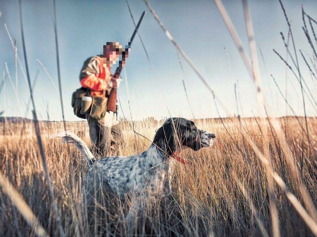 Caccia al via in Sicilia in anticipo. Associazioni animaliste e ambientaliste si rivolgono alla magistratura