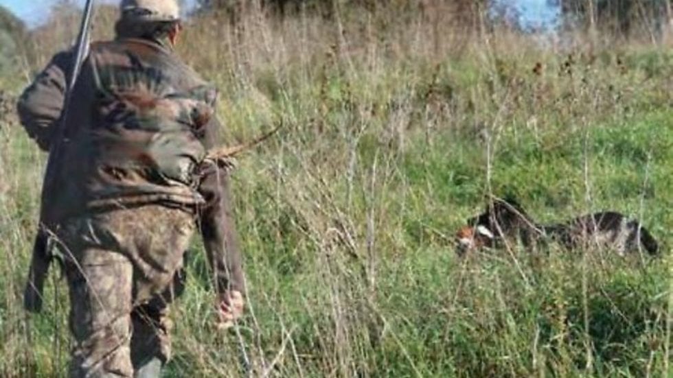 Accolto ricorso degli ambientalisti. Il Tar blocca l’apertura della caccia in Sicilia