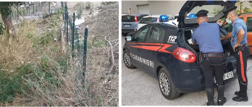 Bambino aggredito da un cane ad Alcamo. Volto martoriato, denunciato proprietario