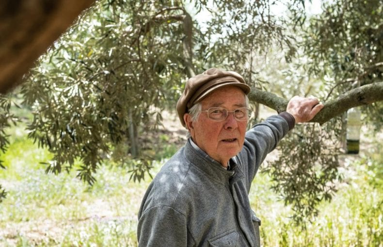 Marsala, morto pioniere della produzione di olio biologico