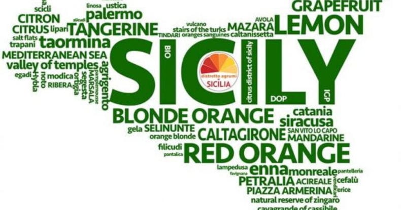 Distretti produttivi, Turano ne autorizza altri dieci. Due a Castelvetrano e uno a Custonaci