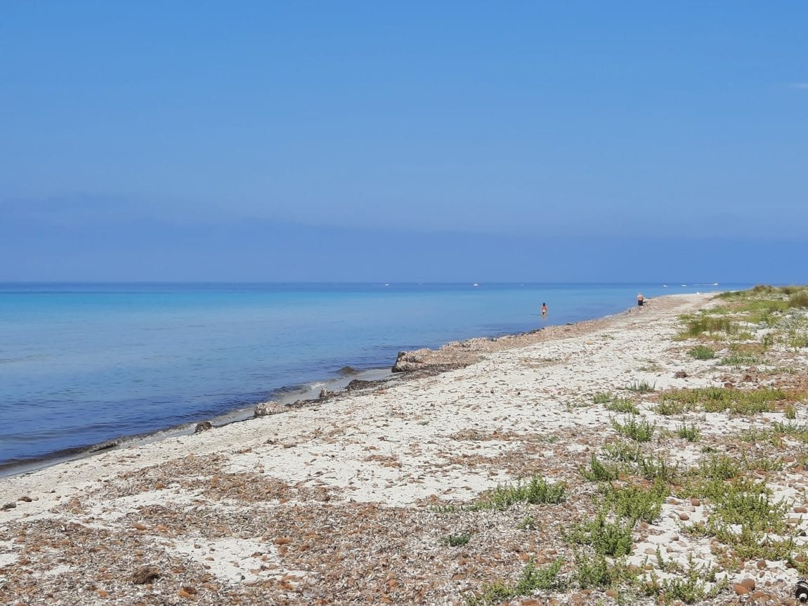 Sito da tutelare, progetto “Preziose per Natura” con flash-mob a Capo Feto