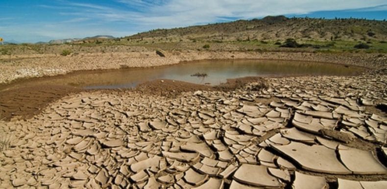 Cambiamenti climatici. La Sicilia verso la desertificazione