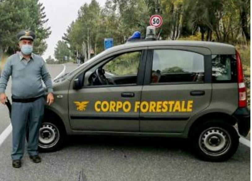 Regione, niente sospensione dal servizio, trovati i fondi per il lavoro ai forestali