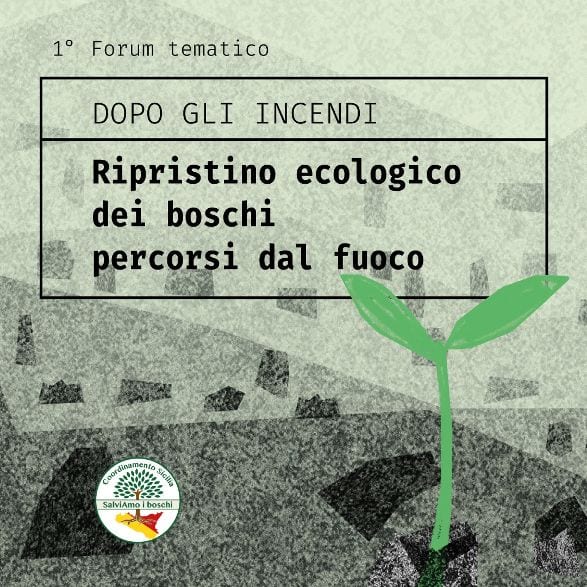 “Salviamo i Boschi”, al via forum per divulgare competenze e conoscenze