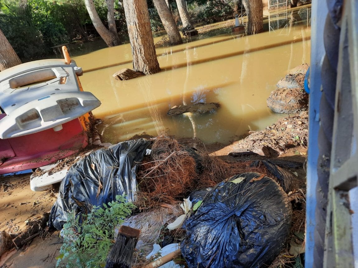 Cane smagrito ucciso dal torrente esondato, volontari avevano segnalato rischi