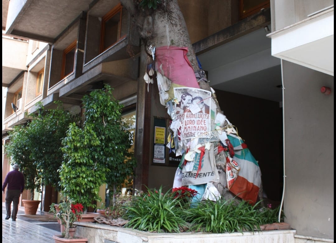 “Albero Falcone”, distribuiti alle scuole i primi cento cloni (VIDEO)