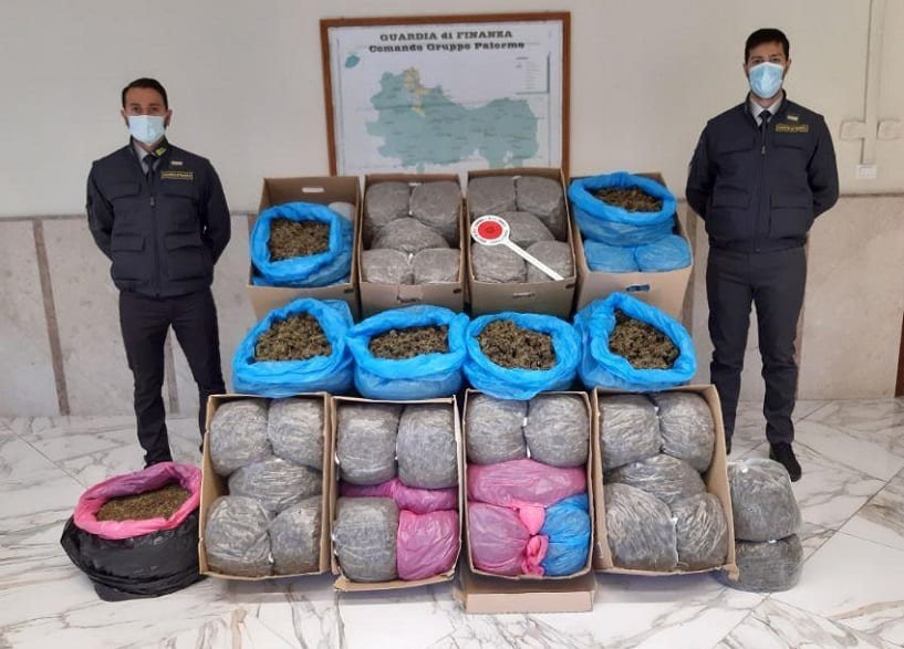 Vasta piantagione fotografata dall'aereo, GDF sequestra mille piante di droga. Potevano fruttare 70.000 euro