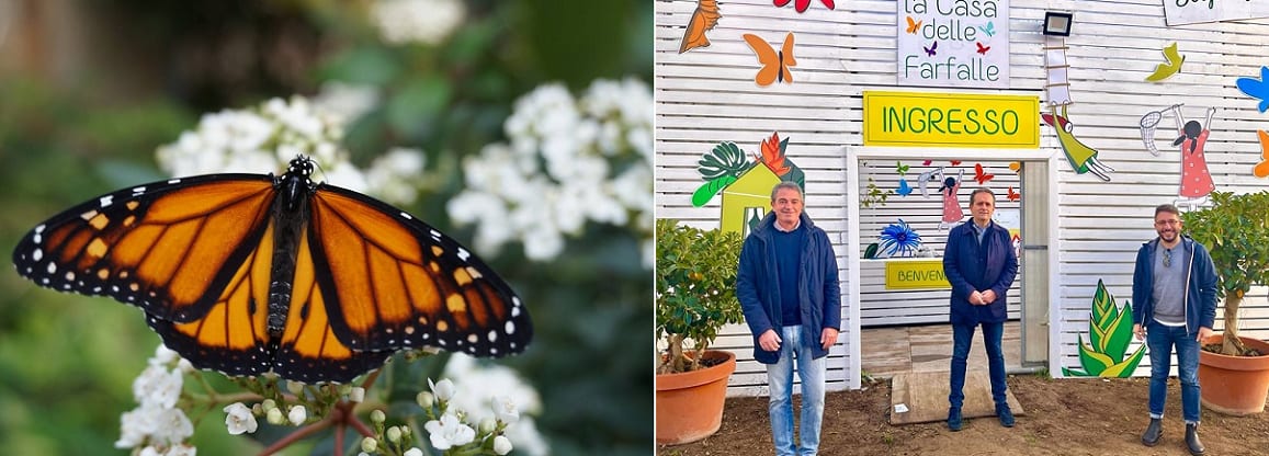 Ritorna la ‘Casa delle Farfalle’, meravigliosi colori dal 25 febbraio a Marsala