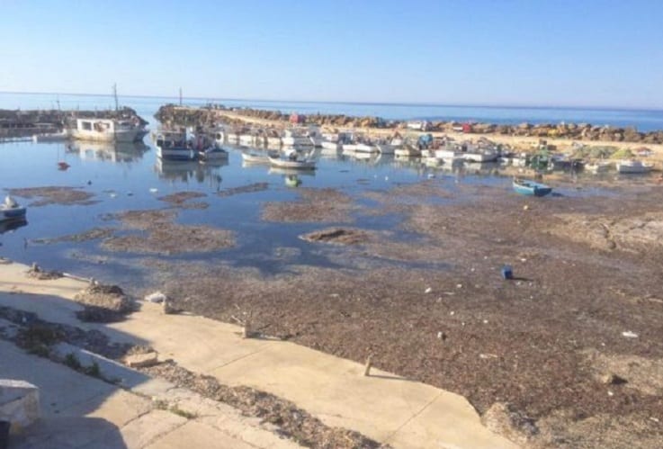 Porto di Marinella di Selinunte, dragaggio dei fondali non completato. M5S al fianco dei pescatori