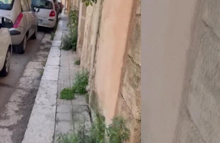 Invasione di erbacce e sterpaglie in vari punti della città di Alcamo, anche nei luoghi più rappresentativi