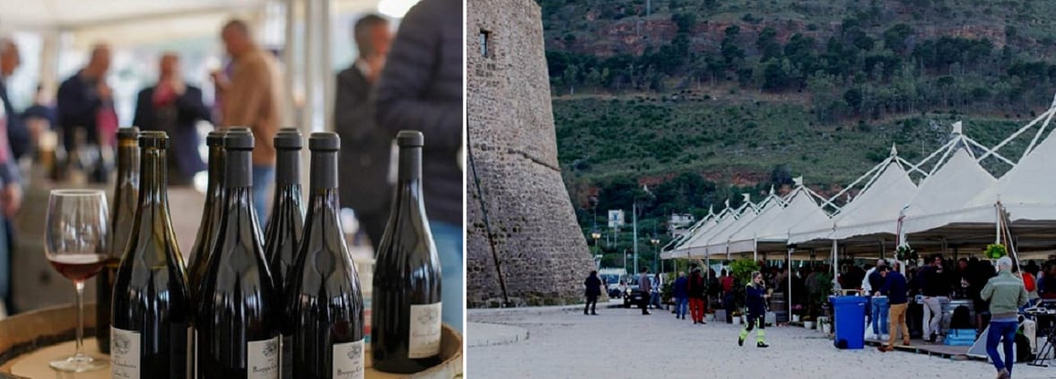 Castellammare - Beaune, avviati scambi commerciali. Vini locali in grande ascesa (VIDEO)